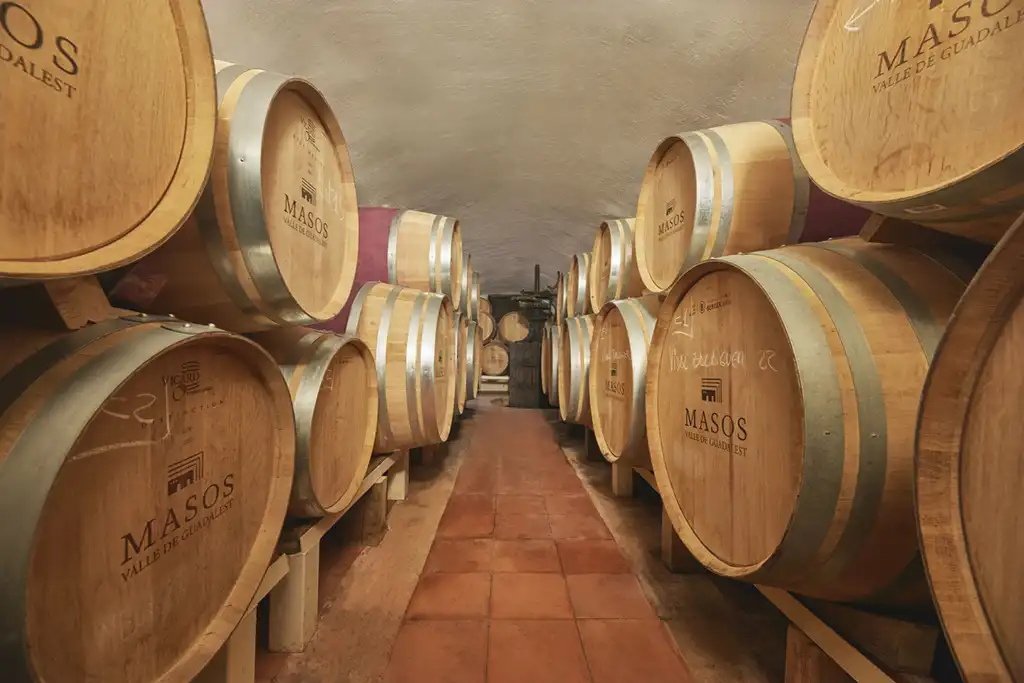 Barricas en la bodega de Masos, Benimantell