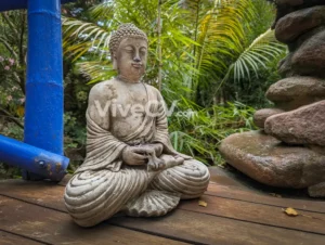 Tetería botánica Altea - Jardín de los Sentidos