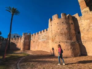 Qué ver en Alzira, Muralla Árabe
