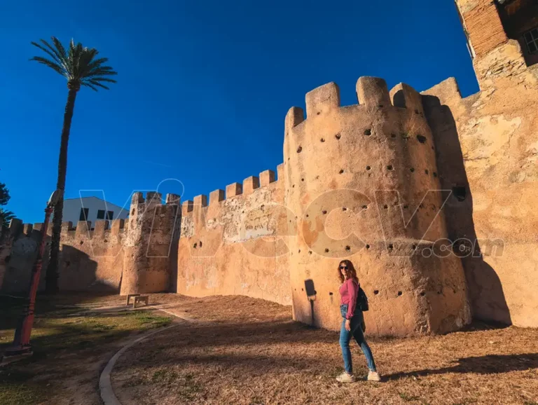 Qué ver en Alzira, Muralla Árabe