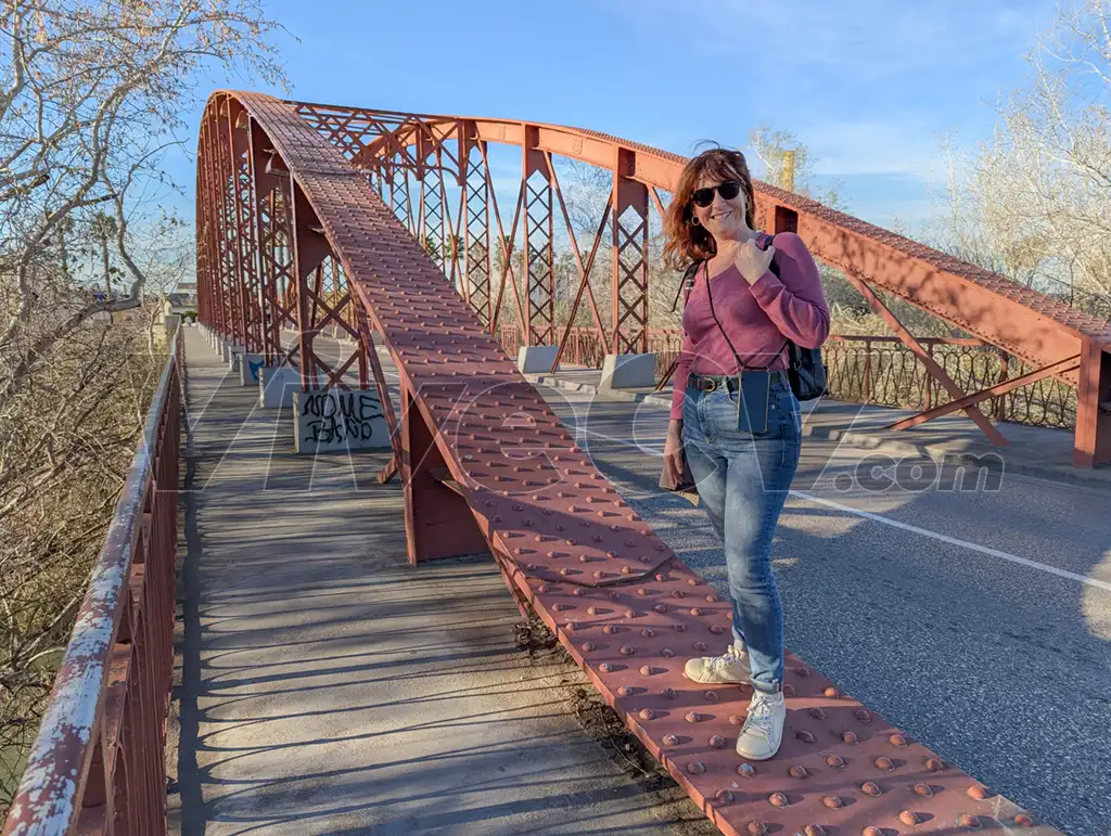 Pont de Ferro, Alzira